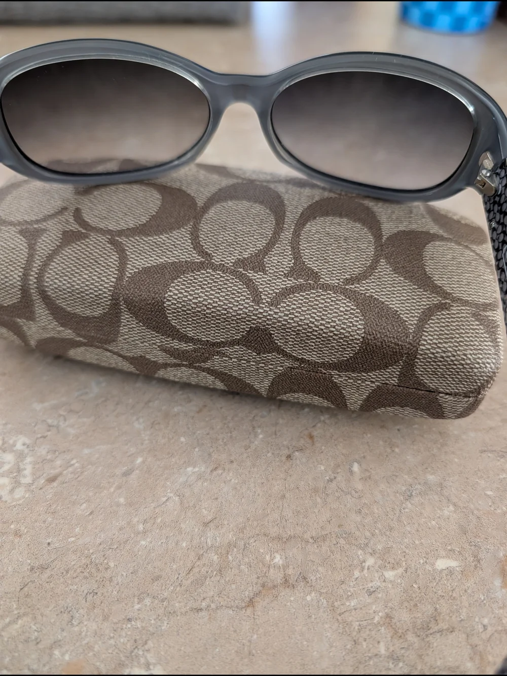 Coach Vintage Anna Sunglasses In Black (S439)